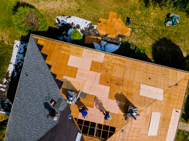 Roof Gutter Cleaning in West Jefferson, OH