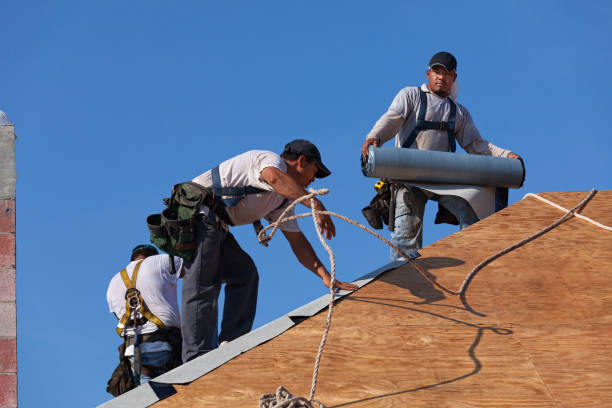 Best Storm Damage Roof Repair  in West Jefferson, OH