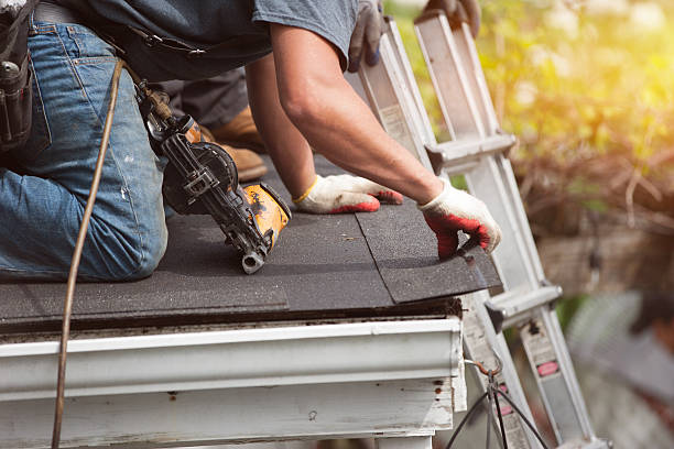 Best Roof Gutter Cleaning  in West Jefferson, OH